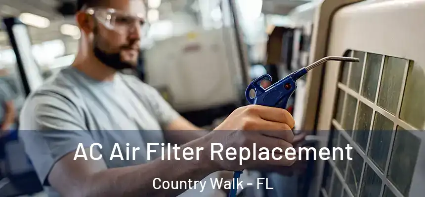 AC Air Filter Replacement Country Walk - FL