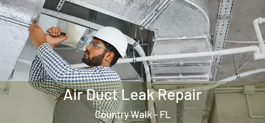 Air Duct Leak Repair Country Walk - FL