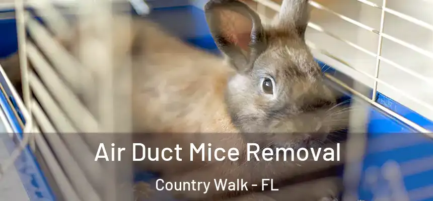 Air Duct Mice Removal Country Walk - FL