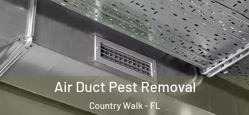 Air Duct Pest Removal Country Walk - FL
