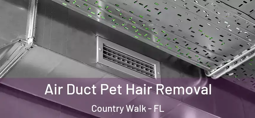 Air Duct Pet Hair Removal Country Walk - FL