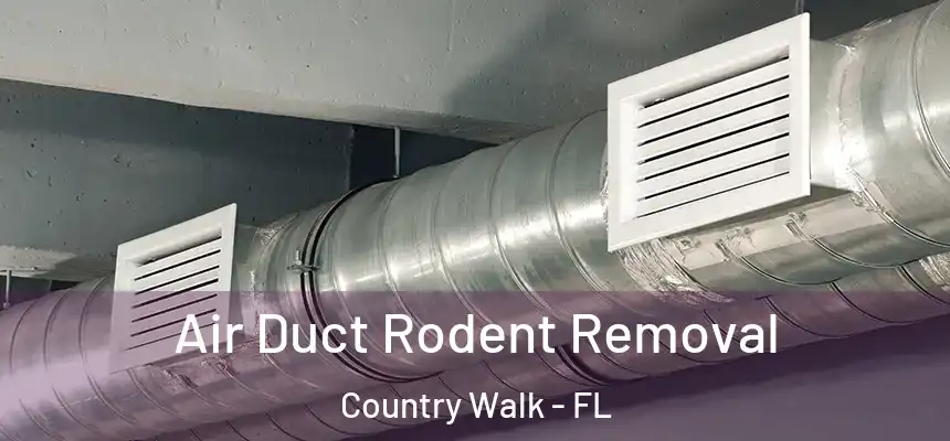 Air Duct Rodent Removal Country Walk - FL