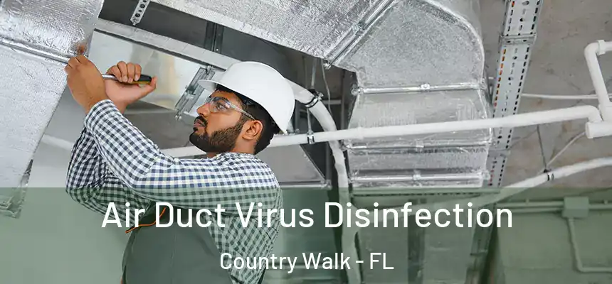  Air Duct Virus Disinfection Country Walk - FL