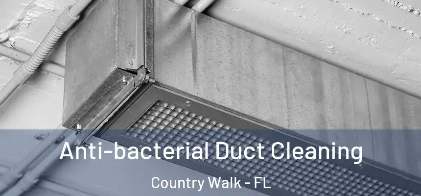 Anti-bacterial Duct Cleaning Country Walk - FL