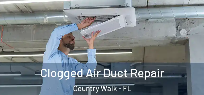 Clogged Air Duct Repair Country Walk - FL