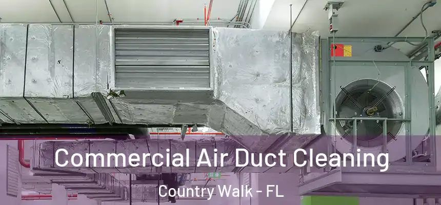 Commercial Air Duct Cleaning Country Walk - FL
