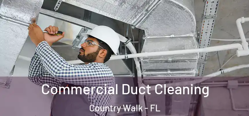 Commercial Duct Cleaning Country Walk - FL