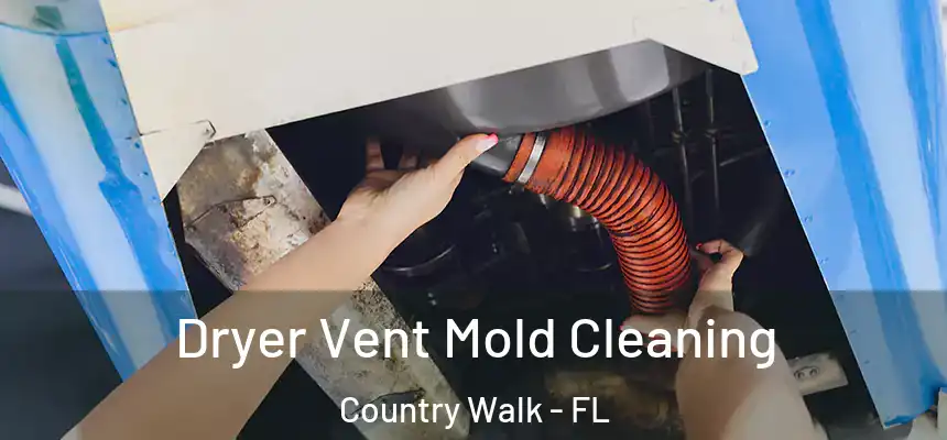  Dryer Vent Mold Cleaning Country Walk - FL