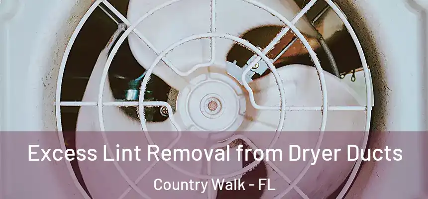 Excess Lint Removal from Dryer Ducts Country Walk - FL
