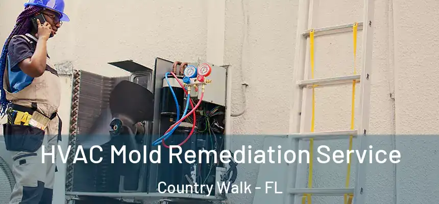  HVAC Mold Remediation Service Country Walk - FL