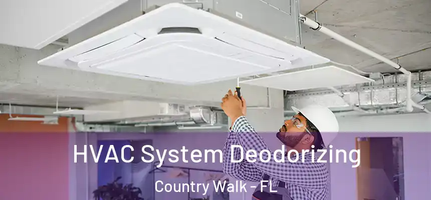 HVAC System Deodorizing Country Walk - FL
