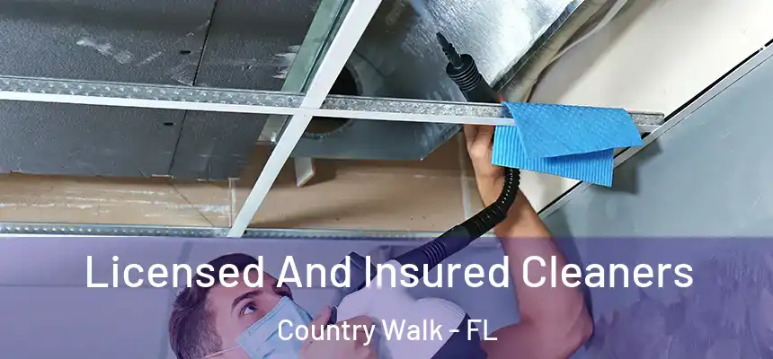 Licensed And Insured Cleaners Country Walk - FL