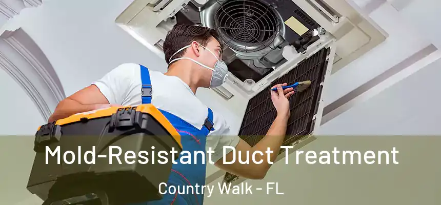 Mold-Resistant Duct Treatment Country Walk - FL