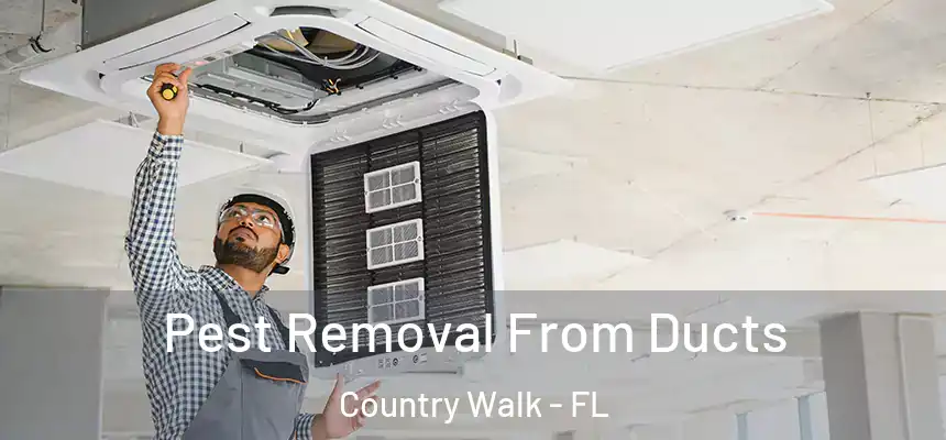 Pest Removal From Ducts Country Walk - FL