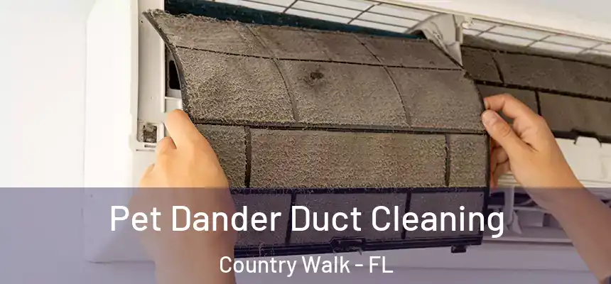  Pet Dander Duct Cleaning Country Walk - FL
