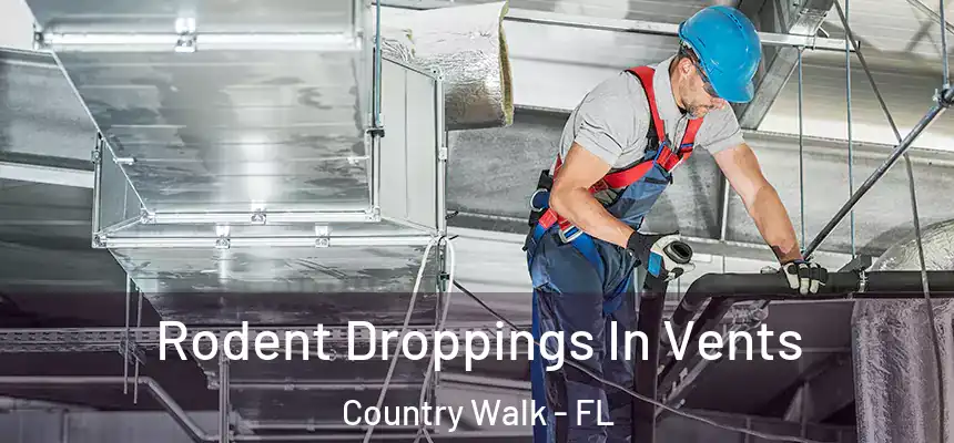 Rodent Droppings In Vents Country Walk - FL