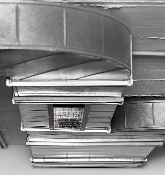 Professional Air Duct Pest Removal in Country Walk, FL