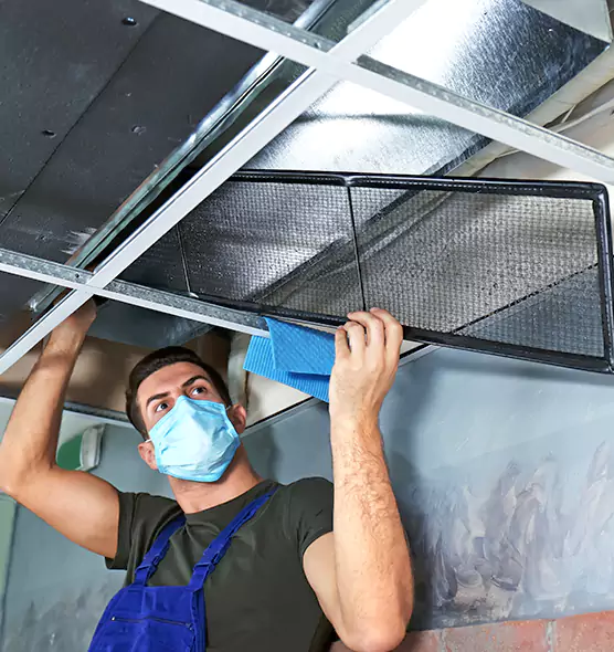 Professional Air Duct Pollen Cleaning in Country Walk, FL