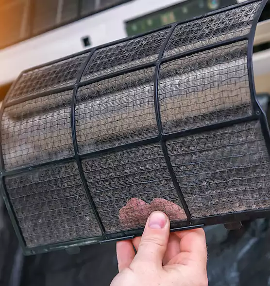 About Pet Dander Duct Cleaning in Country Walk, FL