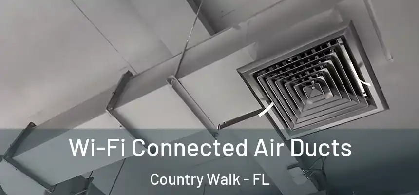 Wi-Fi Connected Air Ducts Country Walk - FL